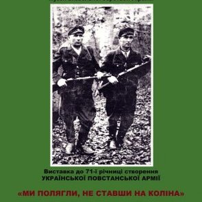 Фото-виставка "Ми полягли, не ставши на коліна"