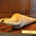 Ancient​ World​ Relics​ exhibition